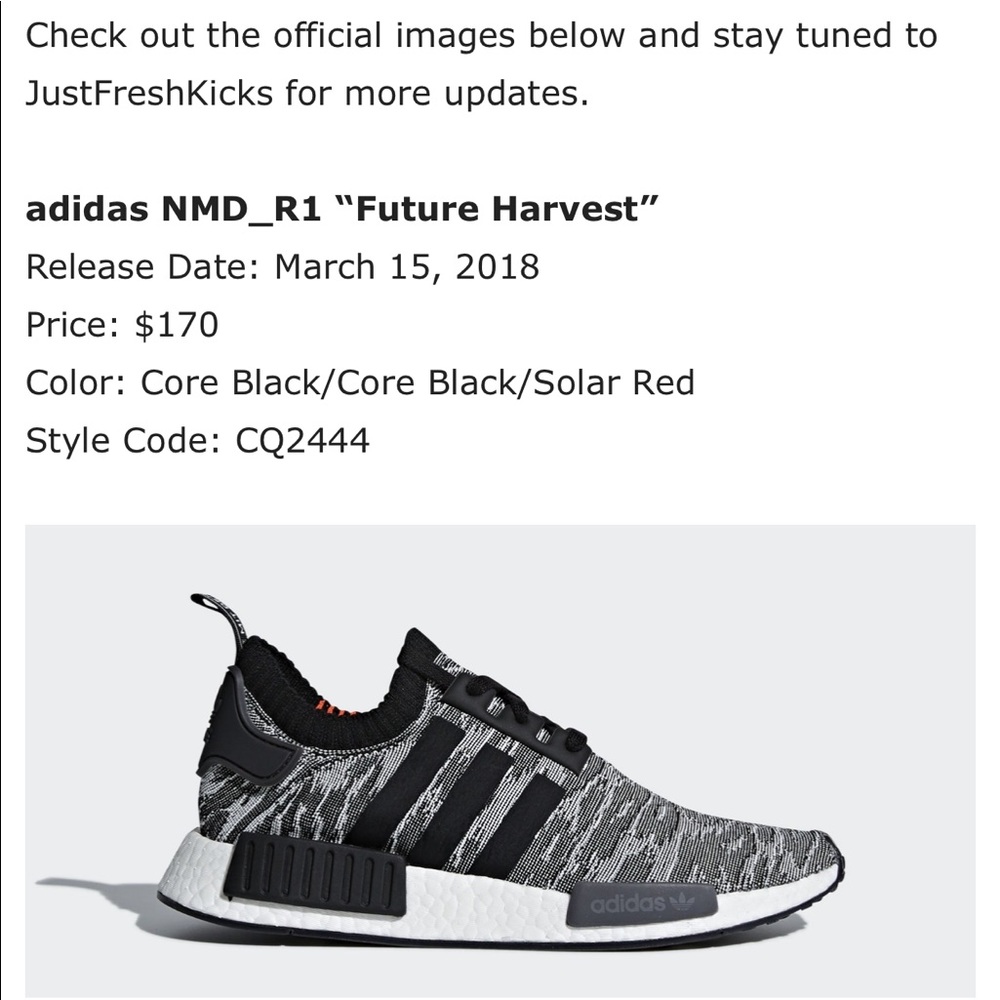 NMD R1 - Picture 5 of 5